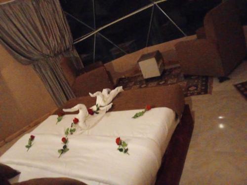Wasan Camp Wadi Rum