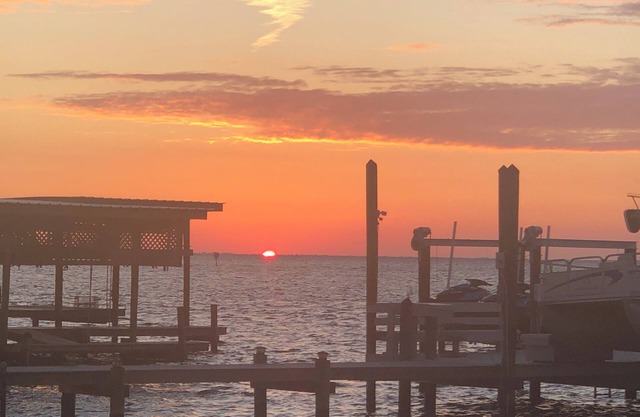 Observe puestas de sol y peces desde su propia casa privada y atraque en Tampa Bay