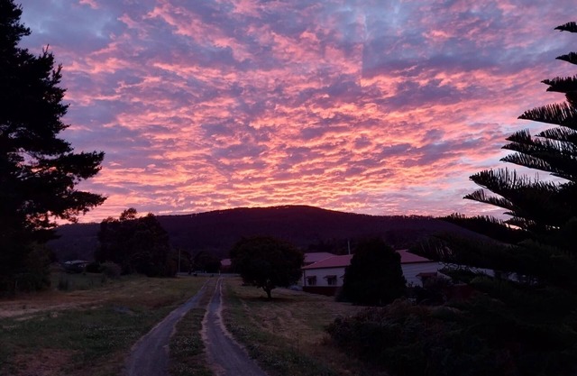 Watch the sunrise and set over the bay. Peaceful, central & dog friendly.
