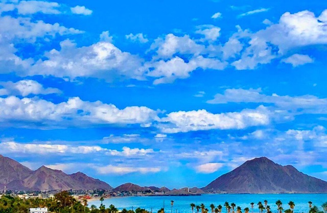 WATCH THE SUNRISE, SEA & MOUNTAINS FROM THIS 2BR CONDO! NEAR ALL! CONDO 304