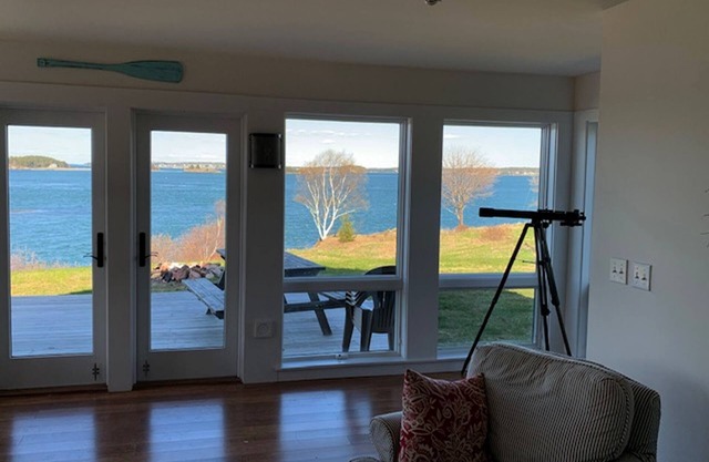 ¡Mire ballenas, águilas y Old Sow desde la Riviera en Eastport!