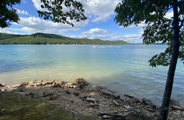 Water's Edge - literally ON Beaver Lake!