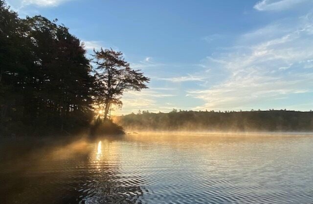 Water's Edge Private Dock Kayak, Swim & Fish