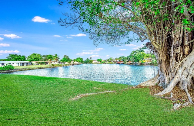Water View - Stocked - Palm Wave Says