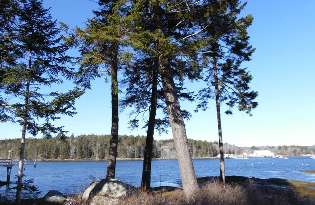 WATERFRONT Cottage in Tenants Harbor - Weekly Friday to Friday