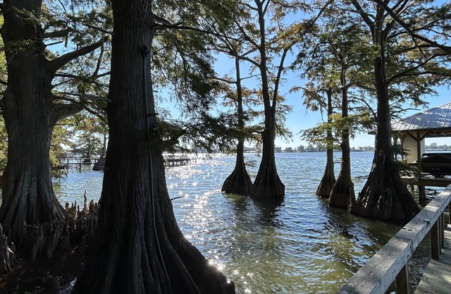 Waterfront get away retreat! Plenty of fishing opportunities
