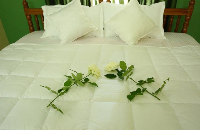 Wayanad Stay- Una estancia en casas de plantación