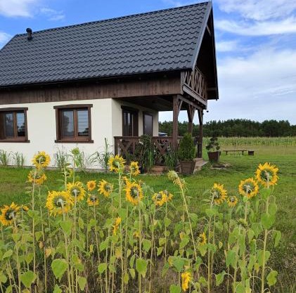 Wdzydzka Chatka