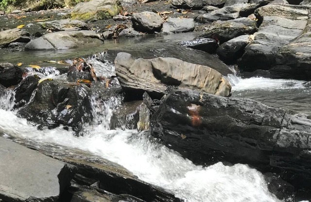 Brindamos un ambiente familiar, rodeado de mucha naturaleza y piscinas naturales