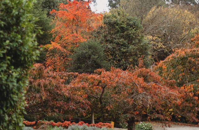 Weardale Estate