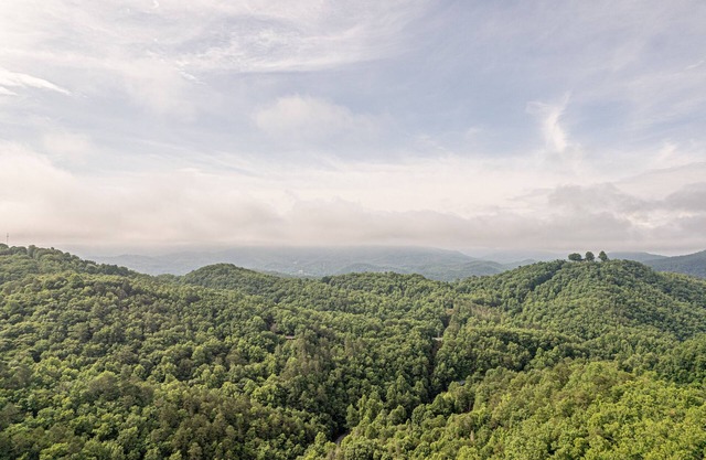 Weddings, Retreats, Large Groups: 3LittleBearsRetreat