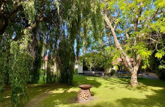 Weeping Willow