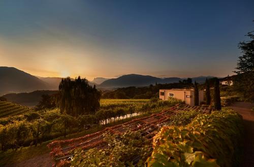 Weingut Stuck