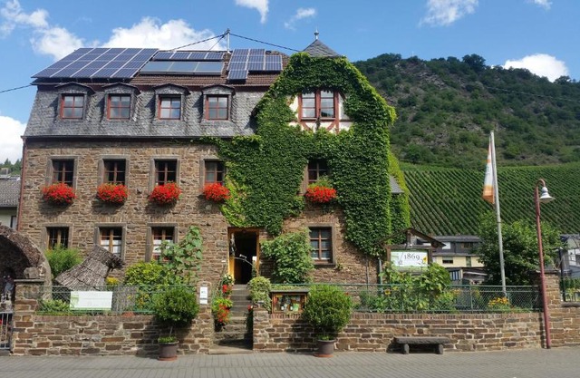 Weingut -1869- Brunnenhof