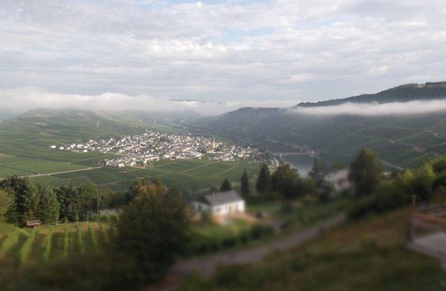 Weingut-Gästehaus Konrad Kirsten - Casa la vino - Habitación Doble - Bodega en Trittenheim