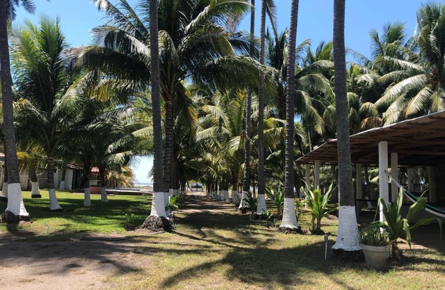 Welcome to the Coconut Grove Beach front Property