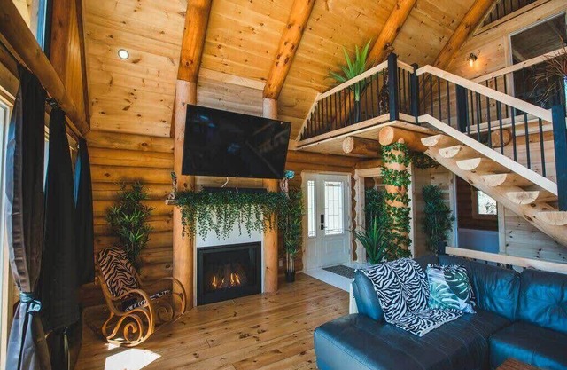Welcome to the jungle - log cabine