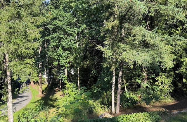 Welcome to “The Pines” at The Cedars