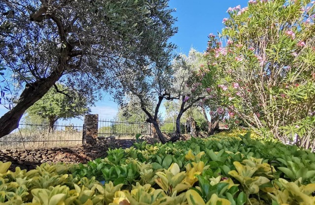 Welcomely - La Casa Di Rita - Lu Nibbaru