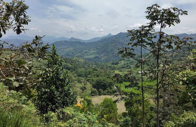 Welcoming 1-bedroom bungalow in Cundinamarca
