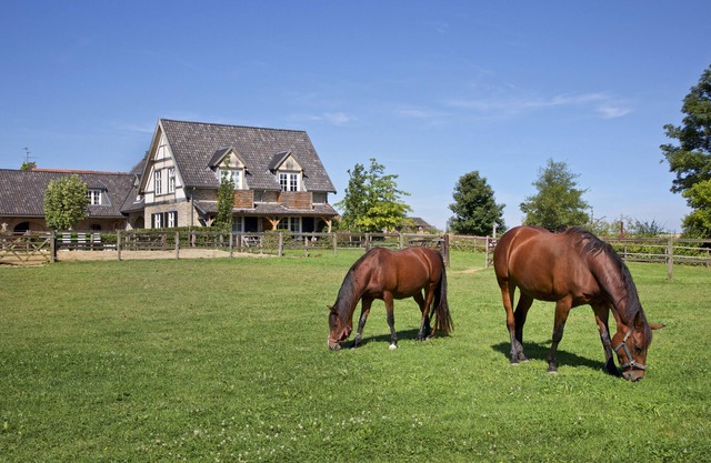 Finca Weledel
