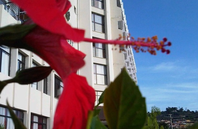 West Ada Inn Hotel