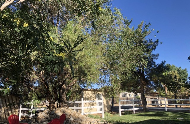 Westside V.I.P. Country Living Close to Mall - Downtown Big Yard Sparkling Clean