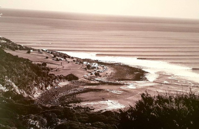 MECA DE SURF DE LA BALLENA