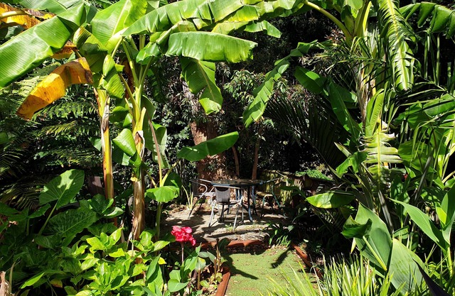 Whanganui Haven, Complimentary Dinner, On-site Welcome, Luxury, Amazing Garden