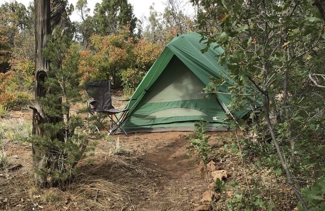 Whether you prefer the rustic charm of tent camping or the comfort of your own vehicle, our campgrounds offer a unique way to connect with nature without sacrificing accessibility. Enjoy the perfect blend of adventure and convenience.