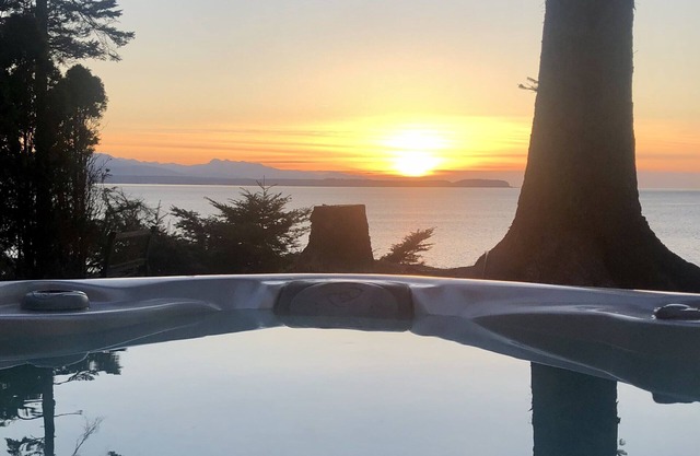 Cabina frente al mar de la isla de Whidbey! Las mejores puestas de sol en el lado oeste! $ 175 ESPECIALES !!