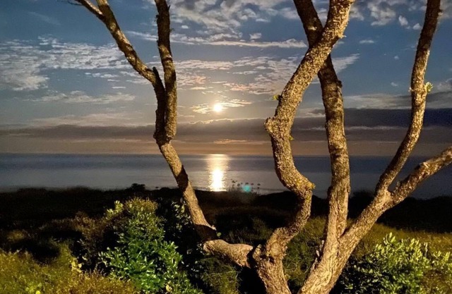 Whiritoa At Its Best