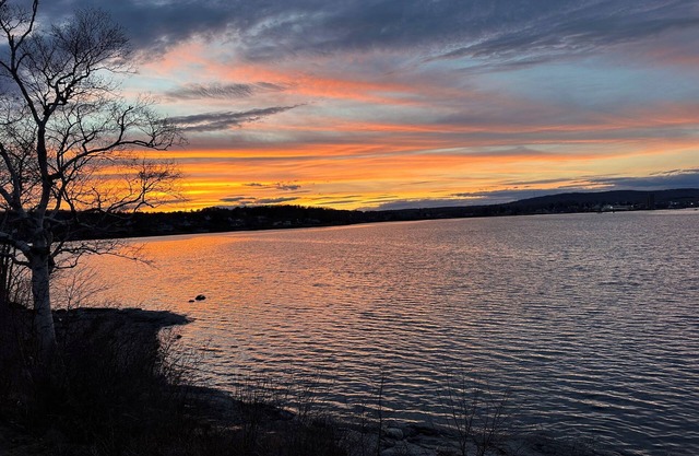 Whispering Tides, on the shores of Rockland Harbor