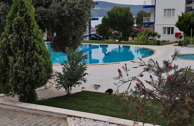 White Bay Resort 2 Bedrooms + 2 Bathrooms luxury beachfront aparts. max sleep 8