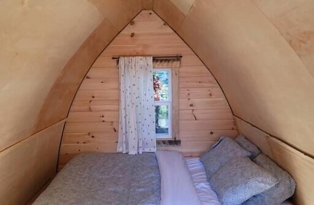 White Birch Camping Pod