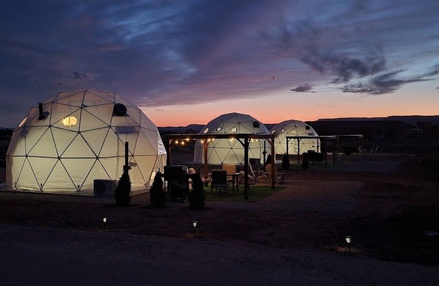 White Camel - Dome #2