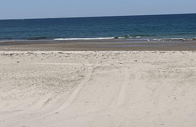 Playa caballo blanco en Plymouth