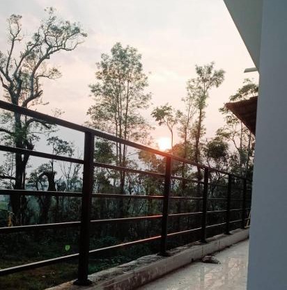 White House coorg