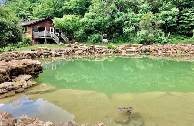 White Pine Cabin with Swimming Pond & Hot Tub Jacuzzi