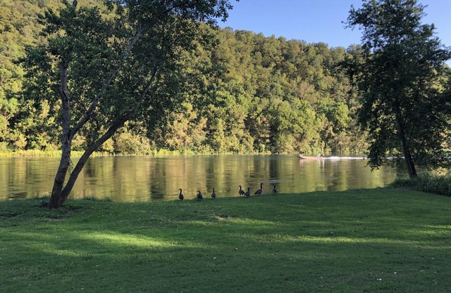 White River Fishing Lodge, con vistas al río con aterrizaje privado y rampa para botes