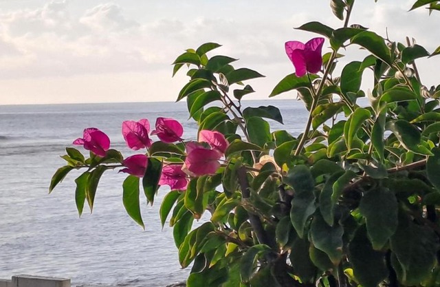 White Sunset - Votre appartement pieds dans l'eau