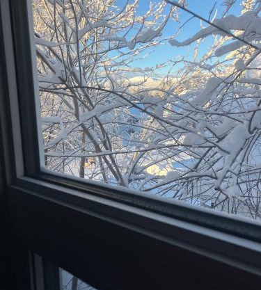 Whitehorse Wonder