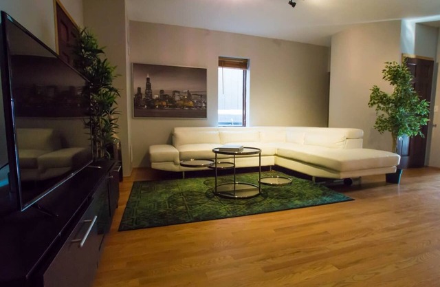 wicker park large apartment perfect for families