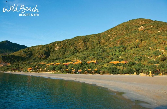 Wild Beach Boutique Resort