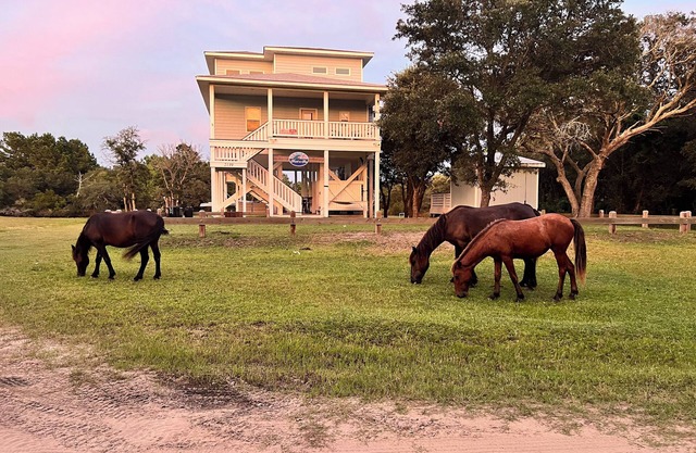 Wild Horses, Wilder Views: Stunning Carova Canal Front Home
