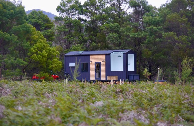 Wild Life Cabins