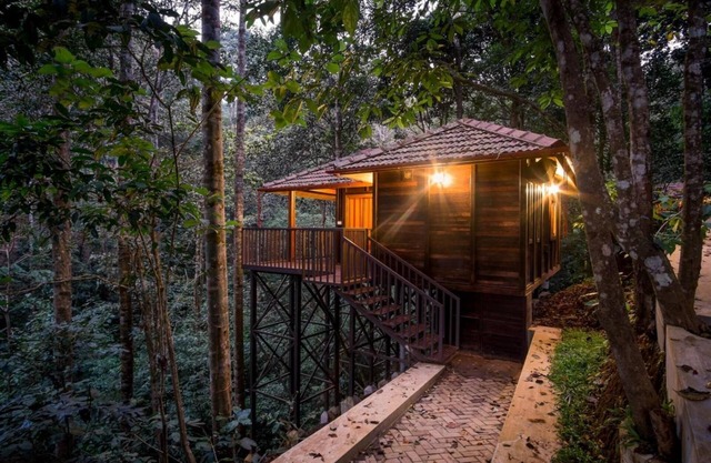 Wild Planet Resort