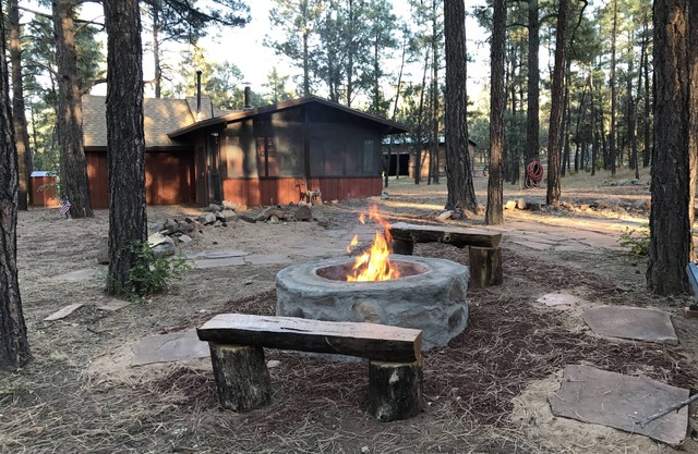 Wild Saddle Ranch Cabin-Nuestra puerta se abre al Bosque Nacional Sitgreaves!
