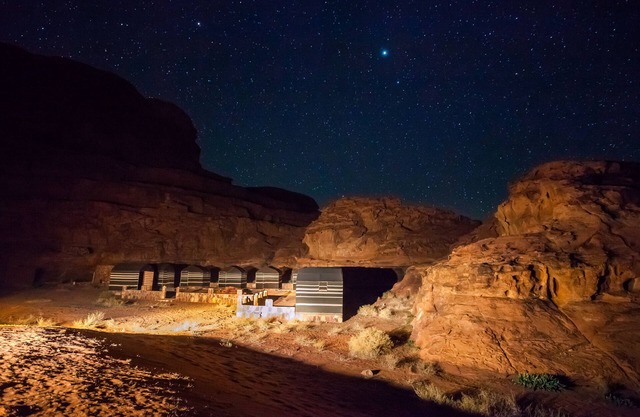 Wild Wadi Rum