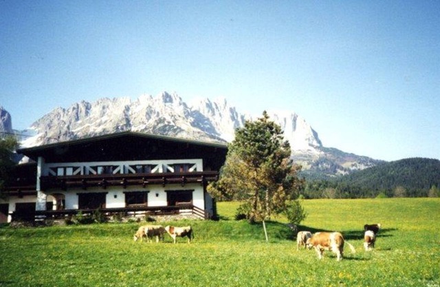 Habitación doble Wilder Kaiser o Kitzbüheler Horn con ducha / WC - Pension Sunnbichl